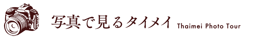 タイトル